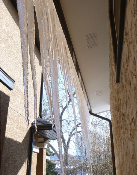 Underside of a gutter that has many long icicles hanging from it due to overflowing gutters or poor attic insulation.